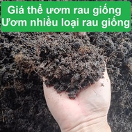 Strawberry soil 1kg (5dm3) - Soil for growing many types of vegetables