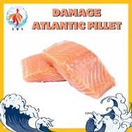 Damage Fresh Frozen Atlantic Salmon Fillet / Norwegian Fjord Trout Fillet