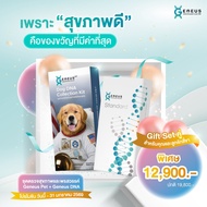 Family Pack | Geneus Pet + DNA Standard Test Health Talent Habits For You And Your Beloved Dogs.