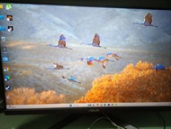 電競螢幕 華碩 VG249QM5A 240hz FHD IPS 24" monitor 保養期至 2029 年5 月
