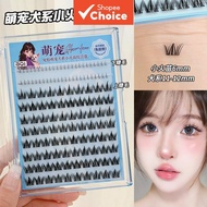 BQI Dog Style Little Flame Glue Free Lashes Ten Row Curled Upper Lower Thick Cluster Set