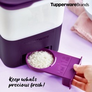 Tupperware RiceSmart Junior 5kg / Rice Smart / Tong Beras (1 pc)