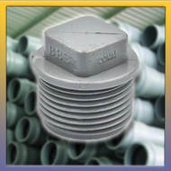 PVC FITTING FOR PVC PIPE / PVC GREY PIPE PLUG / SAMBUNGAN MATI BERGIGI / BERULIR UNTUK PAIP PVC / PAIP PVC KELABU