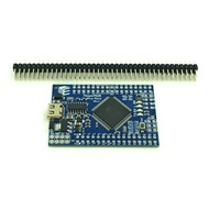 MEGA 2560 R3 Pro Mini CH340G Compatible with Arduino MEGA2560 R3 Atmega 2560 USB Type-C Port (with M