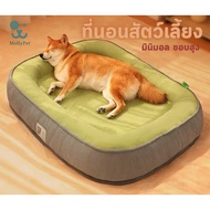 MollyPet ที่นอนสัตว์เลี้ยง ที่นอนสุนัข นุ่ม สบาย ที่นอนแมว เตียงสุนัข เตียงแมว หมา เบาะสัตว์เลี้ยง Pet Bed
