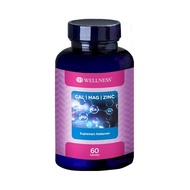 Wellness Cal Mag Zinc Vitamin Calcium Magnesium - Contents 60 tablet
