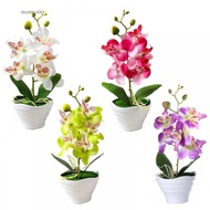 Elegant Silk Phalaenopsis Fake Bonsai Potted Plant Home Decorative Floral Orchid