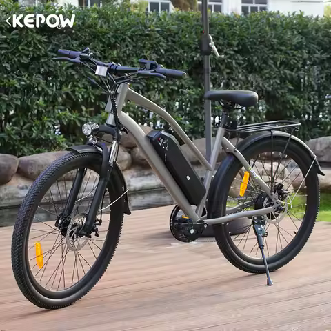 Factory Wholesale Electric Bike 7 Speed Ebike Electric Cheap Electric Bicycle Bycycle for Men