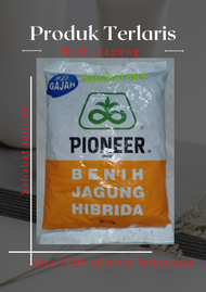 Bibit jagung hibrida pioner P27 kemasan 1kg Best Seller