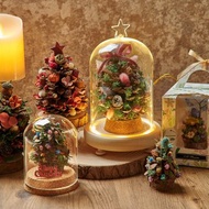 聖誕限定 松果聖誕樹/永生聖誕樹/聖誕樹/聖誕裝飾/聖誕儀式感