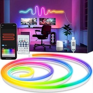 RGBIC Bluetooth Neon LED Strip Lights 5V Waterproof Flexible Ribbon Tape 1M/2M/3M/5M for Room Wall D