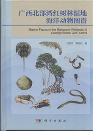 廣西北部灣紅樹林濕地海洋動物圖譜 (新品)
