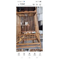sangkar sport bilah 13, kayu cengal