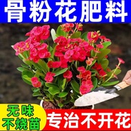 Garden bone meal 花圃骨粉 220g