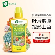 Nordherun Succulent Special Nutrient Solution Potted Flower Succulent Plant Universal Fertilizer Sprout-Promoting Organi