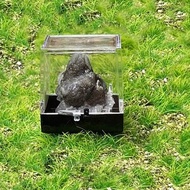 小小能量礦石擺件-可愛精品小迷你熊貓方解石 招財 旺事業