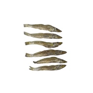 Sillago Fish 35gr Dehydrated Dog Snack Dog Treats Cat Jerky