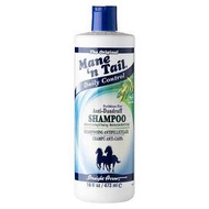 Mane 'N Daily Control 2 in 1 Anti-Dandruff Shampoo and Conditioner