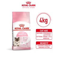 Royal Canin Mother & Babycat (4kg) Dry Cat Food - Feline Health Nutrition