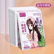 Ginger Hot pack for period pain hot bag menstrual heat pad warm pad hot pad period pain relief patch