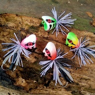 Jaws frog 2.5 cm