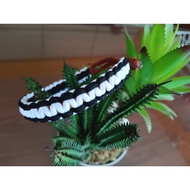 paRacoRd c0bRa homemAnd  kRaf bY icaH💯