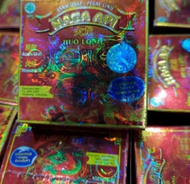 KAPSUL-HUO-LONG-NAGA-API ISI 40 KAPSUL OBAT PEGAL LINU ASAM URAT