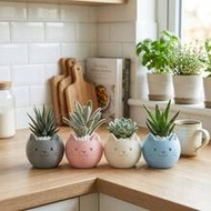 3.15" W X 2.56" H Cute Mini Succulent Plastic Planter, Suitable For Indoor/Outdoor Desk, Shelf And H