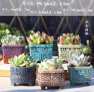 Ready stock ‼️ Ceramic Succulent pot set 6pcs 窑变多肉麦饭石花盆复古大口陶瓷套餐紫砂吸水拇指老桩印章拼