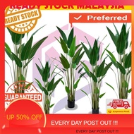 READY STOCK MALAYSIA HARI2 POSTAGE Pokok Hiasan VIRAL Premium pokok Banana /  pokok Sky bird Airtifi