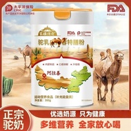 Inner Mongolia Alxa Original High Calcium Camel Milk Powder Rich Nutritious Camel Milk Township Came
