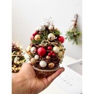 Hiasan Krismas Nuoqi Kon Pine Asli Desktop Pokok Krismas Mini Hiasan Kecil Hiasan Krismas