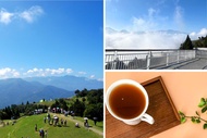 南投-清境農場&高空步道| 全票(贈南投觀光工廠來店禮)| 外籍旅客限定