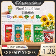 【SG Stock】[Minimum 4PC]Kids DIY Plant Kit Blind Box Easy to Grow Party Favour Christmas Gift idea/ DIY Indoor /Plant Mini Indoor Plant for Home and Office Many designs