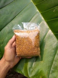 Daun Talas Beneng Kering sample ori 50 Gr