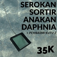 Daphnia Saplings + Flea Exterminator Z