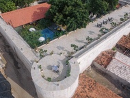 Tree of Life - Darbargadh, Dared