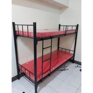 Newly Single To Single Size 30x30x75 Double Deck Bed With 2 Comfortex Foam