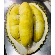 Durian Utuh Montong Palu Parigi 3Kg #Gratisongkir