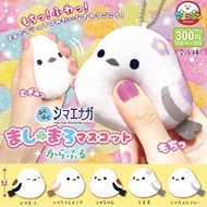 AMUSE扭蛋 捏捏長尾山雀掛飾 全套