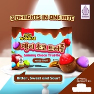 PERMEN COKLAT KOREA WONHAE GUMMY CHOCO TRUFFLE MIXED FRUIT HALAL VIRAALL