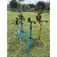 (SG stock) Small/Medium Parrot Tripod Stand wood perch bird conure african grey eclectus amazon pet 