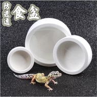 Reptile Ceramic Feeding bowl Worm Dish Anti Escape Food Dish Insect Feeder Reptiles Terrarium Feeding dish