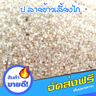 ส่งฟรี ปลายข้าวสำหรับเลี้ยงสัตว์ ปลายข้าวอาหารสุกร ปลายข้าวอาหารไก่ จำนวน 3 กก.