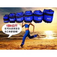 Fitness HEAVY DUTY WJS 5 Sizes 2 Pcs Adjustable Leg Ankle Weight Wrist Iron Sand Bag Weight Straps