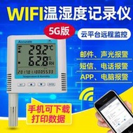 無線溫溼度記錄儀 WIFI溫度計 冰箱溫度計 冷庫用溫度計報警器