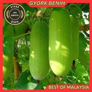 Benih Kundur Panjang | Long Wax Gourd Seeds  (10 BIJI)