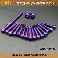 CVT Bolt Scoopy 2017 titanium gr5BEAT