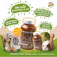 Booster Plus+ บูสเตอร์ พลัส อาหารเสริม ช่วยฟื้นฟูสัตว์ป่วย เสริมสร้างการเจริญเติบโต สำหรับสัตว์เลี้ยง สัตว์ฟันเเทะ