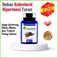 MERIAL RED PINE KOREA